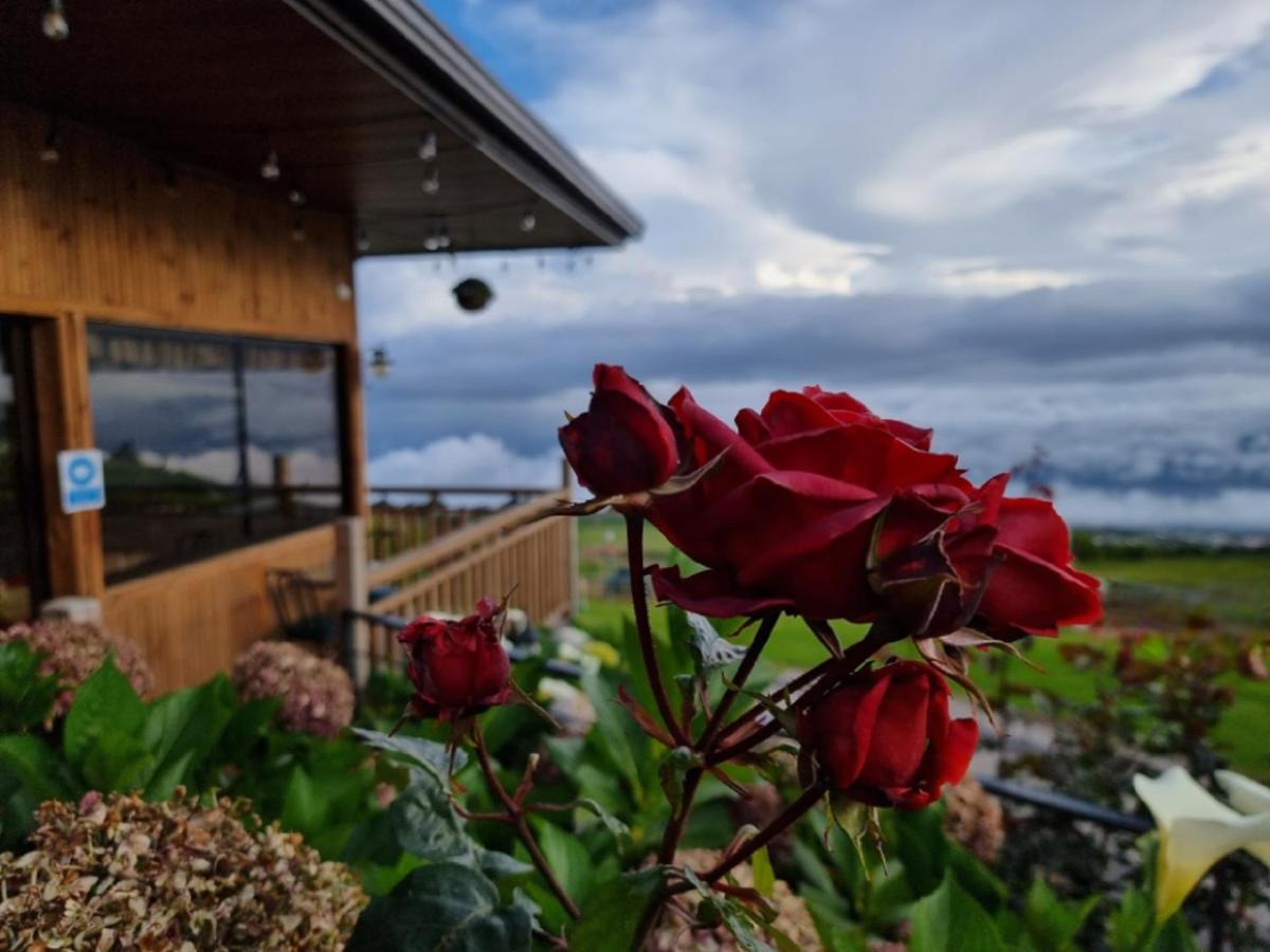 Hotel Cabanas Y Mirador Secret Garden Cr 카르타고 외부 사진