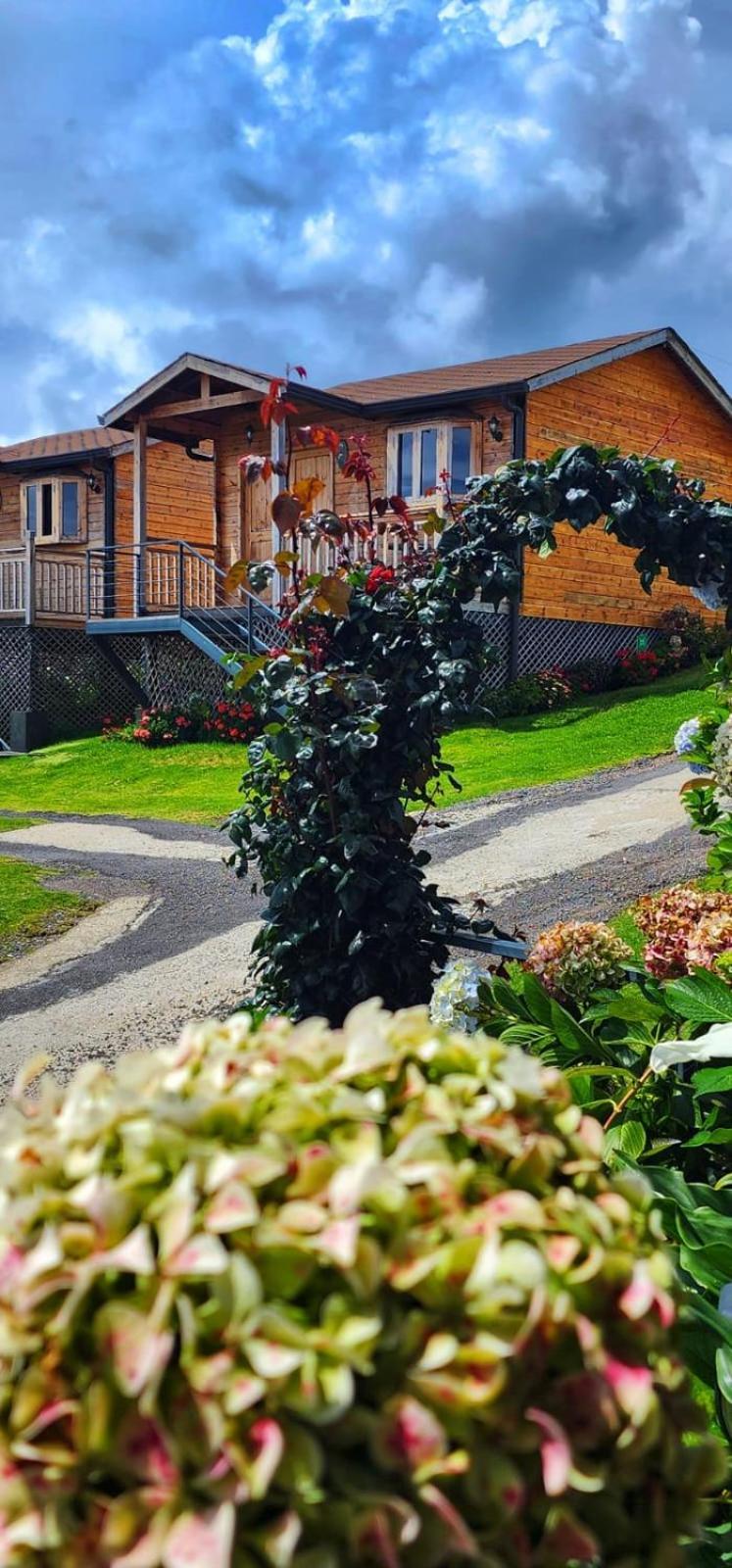 Hotel Cabanas Y Mirador Secret Garden Cr 카르타고 외부 사진