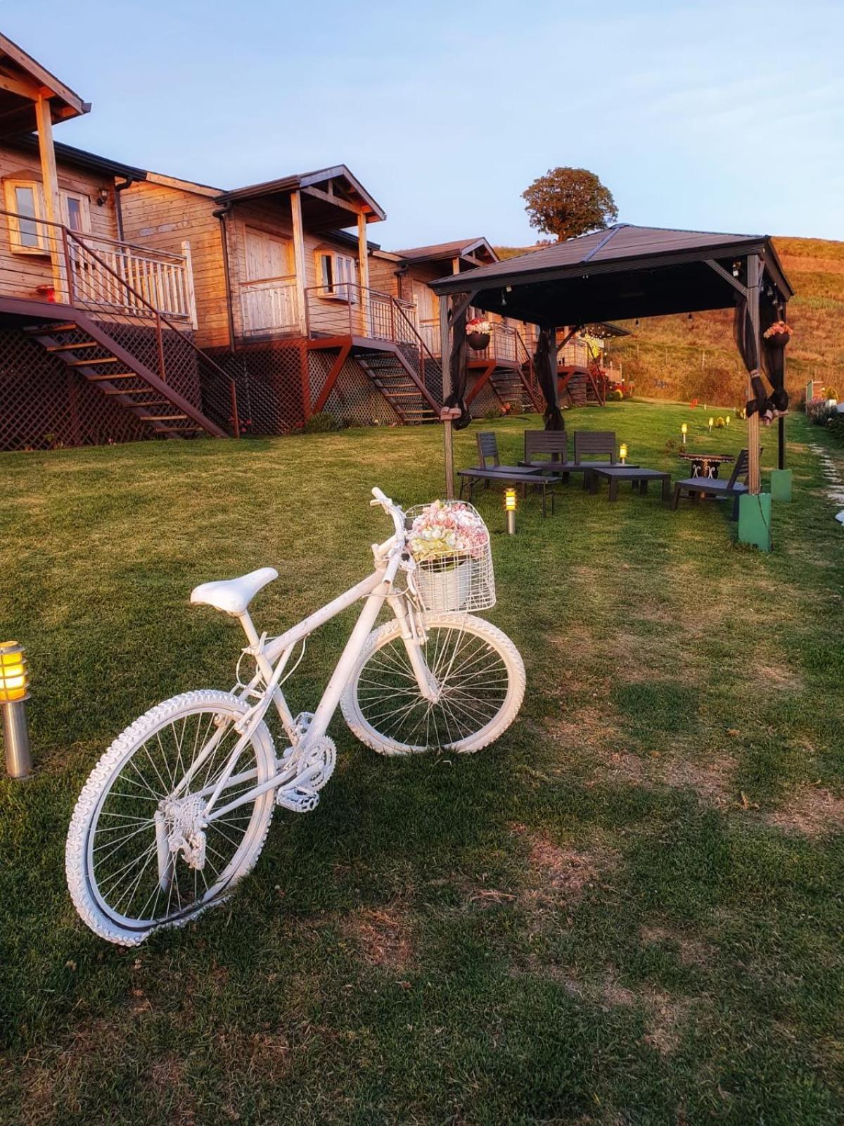 Hotel Cabanas Y Mirador Secret Garden Cr 카르타고 외부 사진